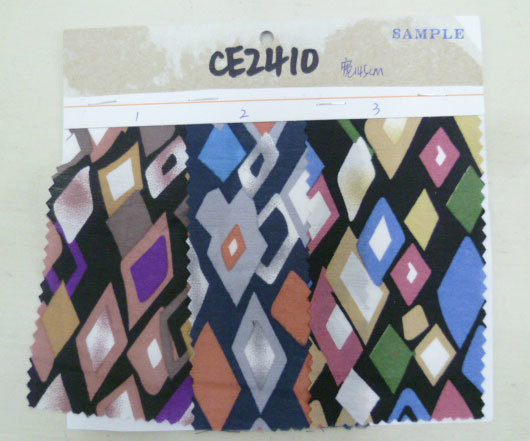 CE2410