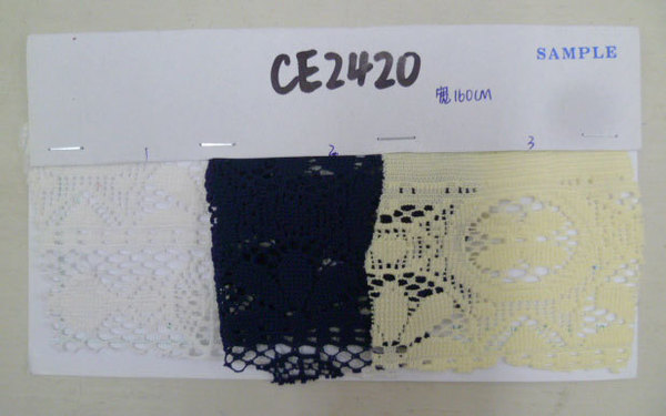 CE2420