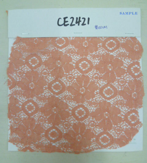 CE2421