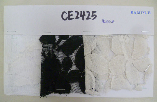 CE2425