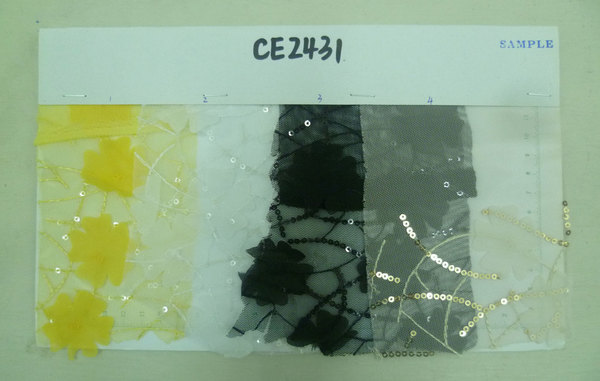 CE2431