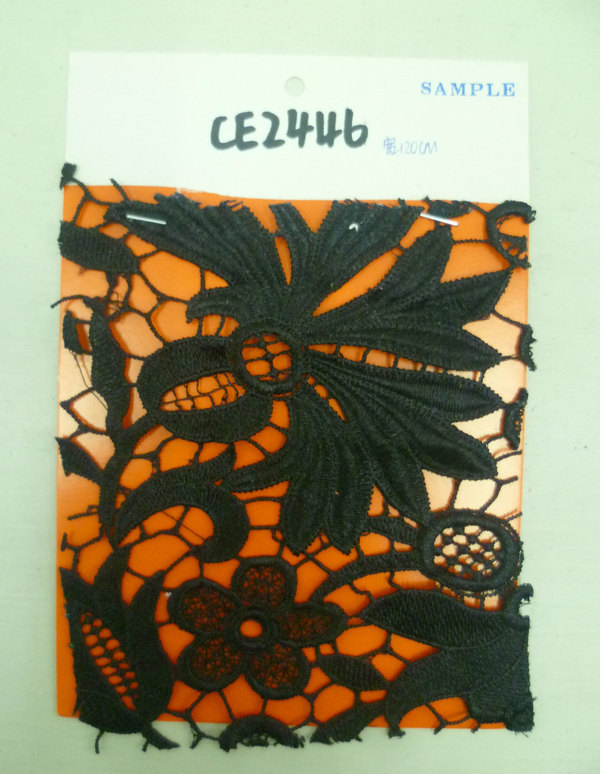 CE2446