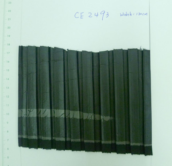 CE2493