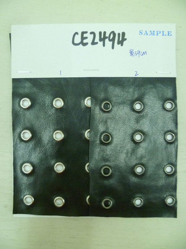 CE2494