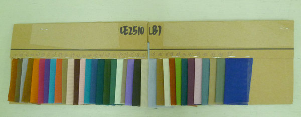 CE2510(B)