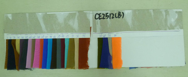 CE2512(B)