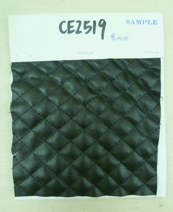 CE2519