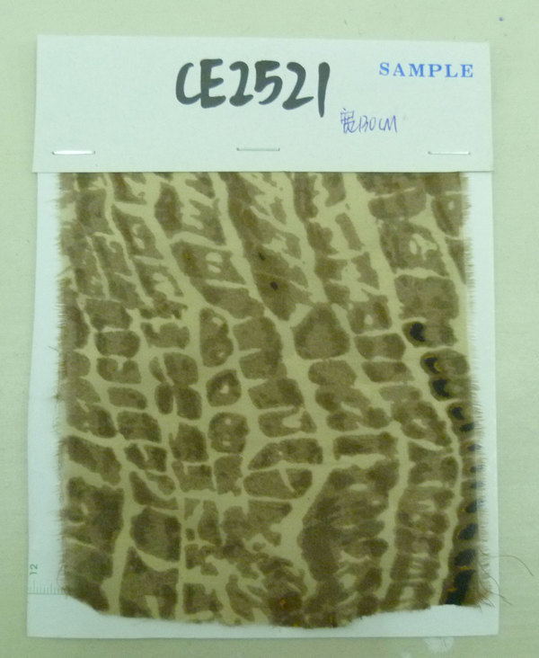 CE2521