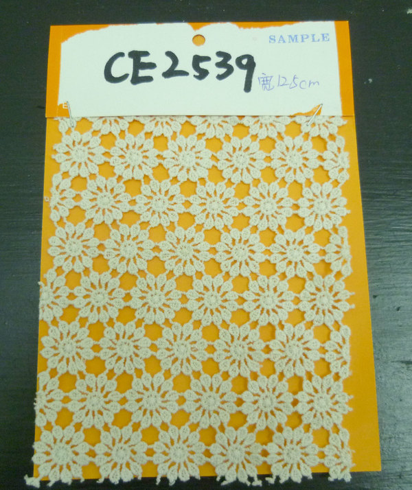 CE2539