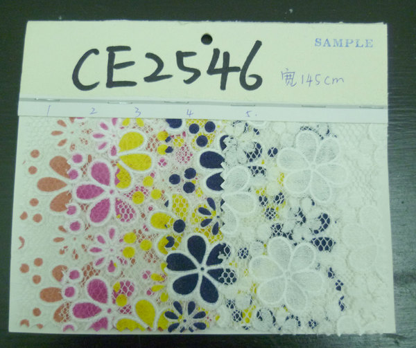 CE2546