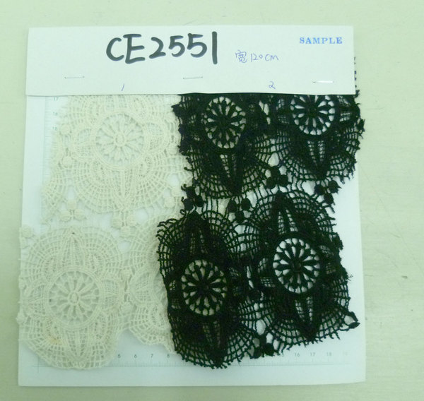 CE2551