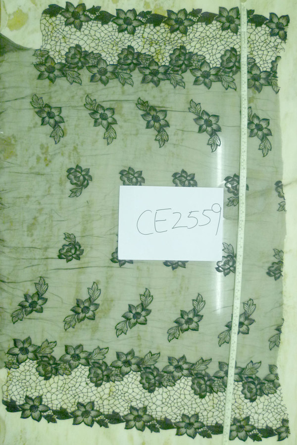 CE2559