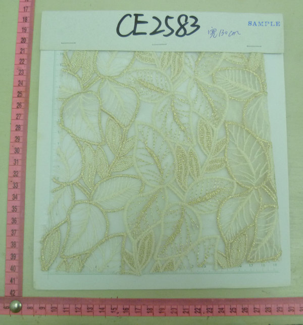CE2583