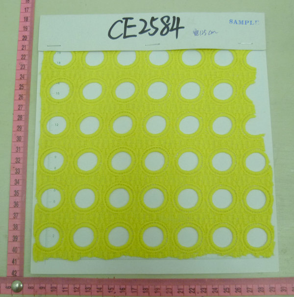 CE2584