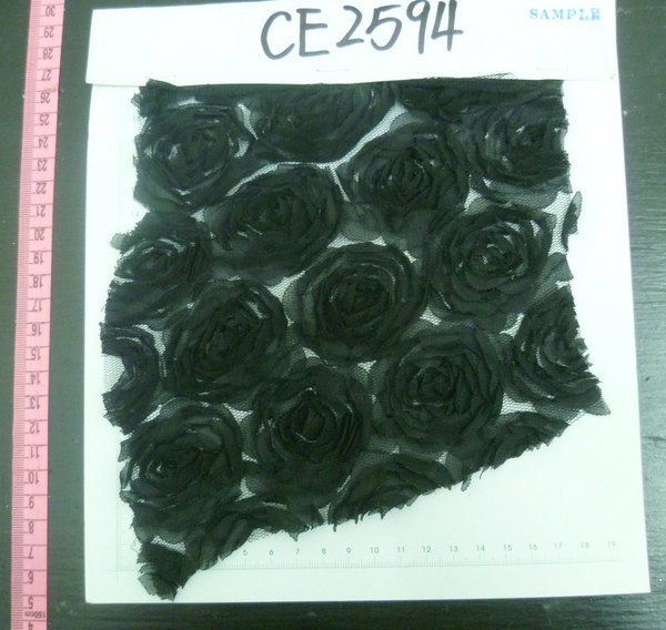 CE2594