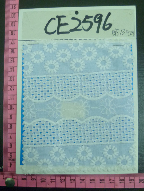 CE2596