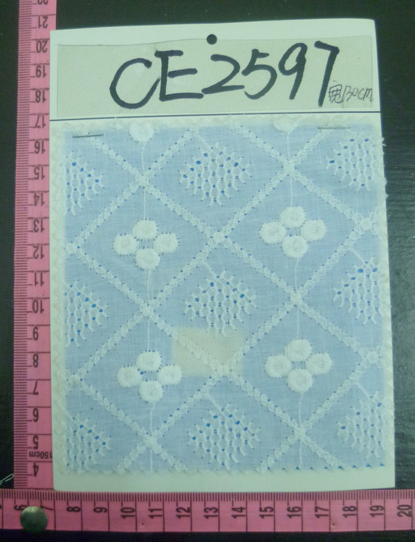 CE2597