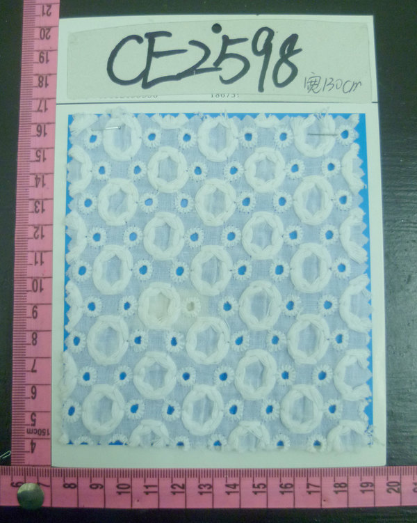 CE2598