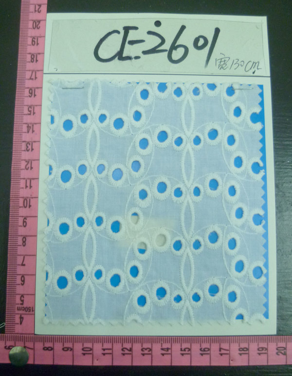 CE2601