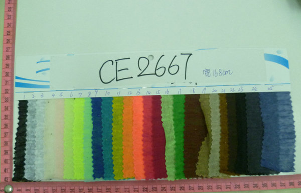 CE2667