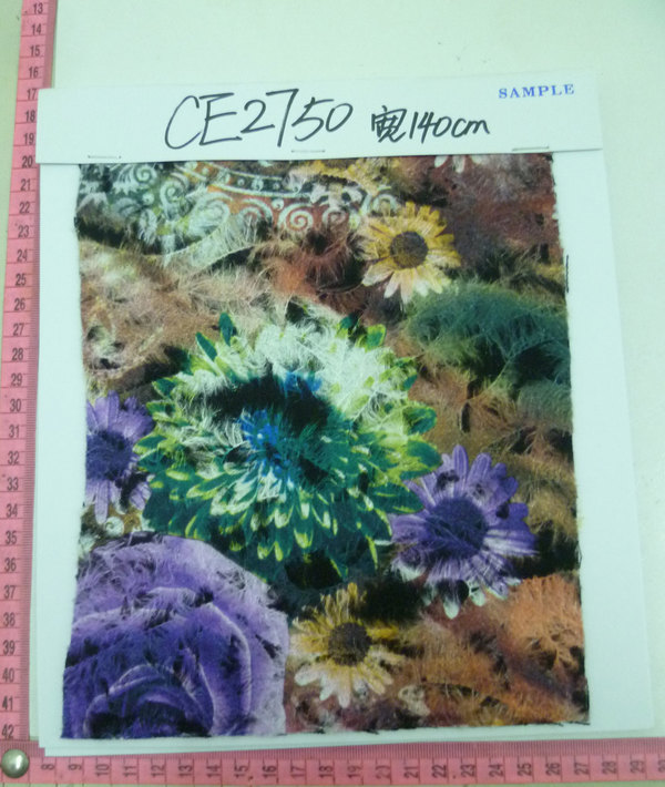 CE2750