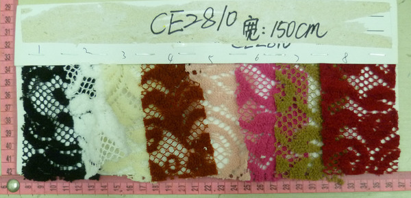 CE2810