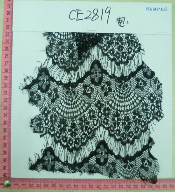 CE2819
