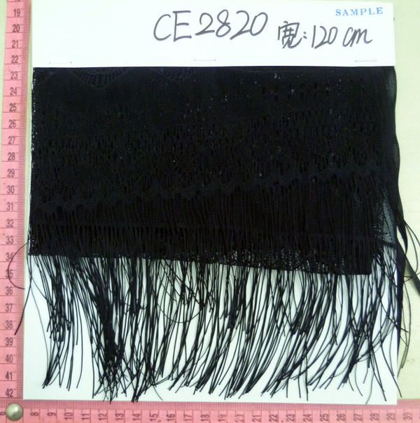 CE2820