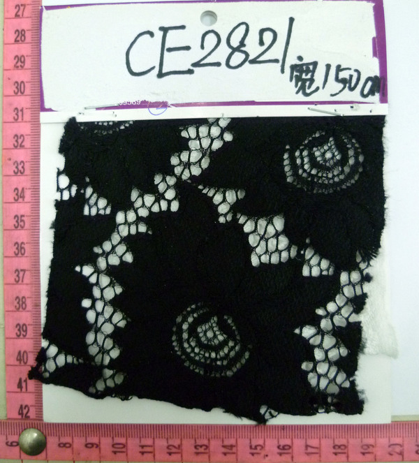 CE2821