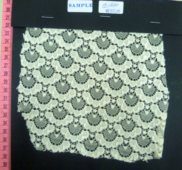 CE2830
