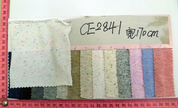 CE2841