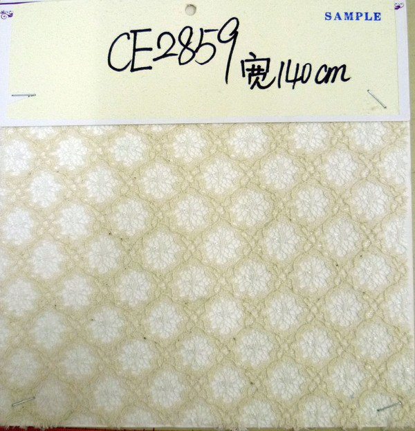 CE2859