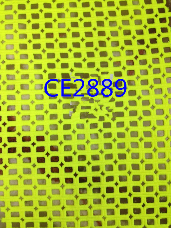 CE2889