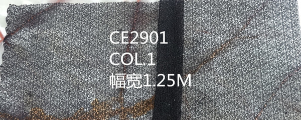 CE2901