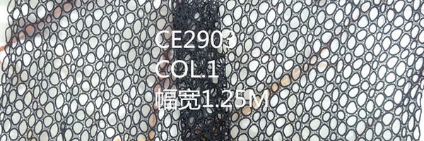 CE2903