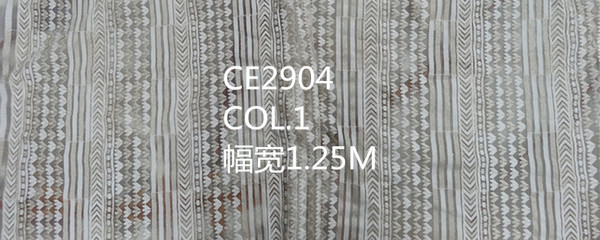 CE2904