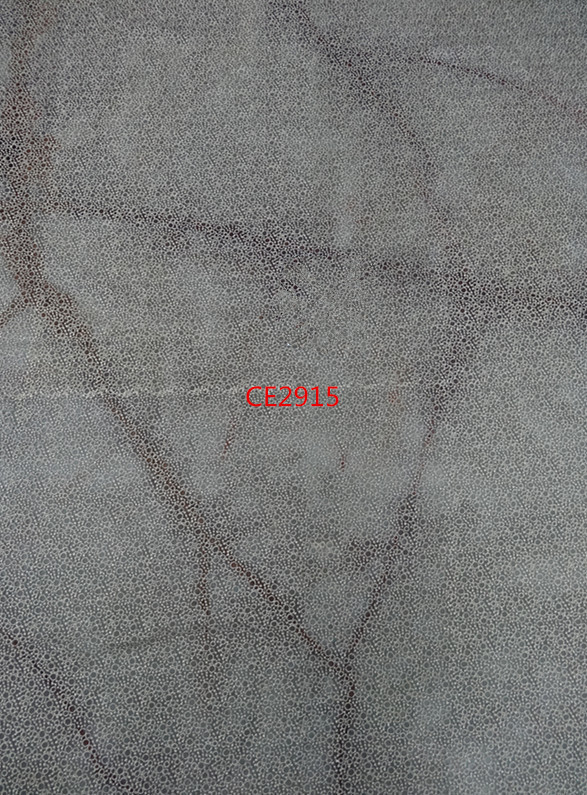 CE2915.JPG