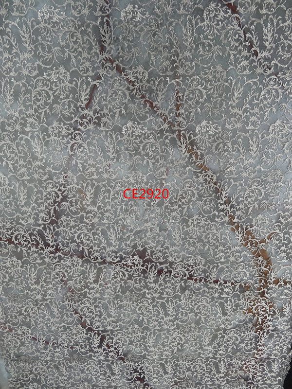 CE2920.JPG