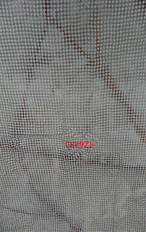 CE2921.JPG