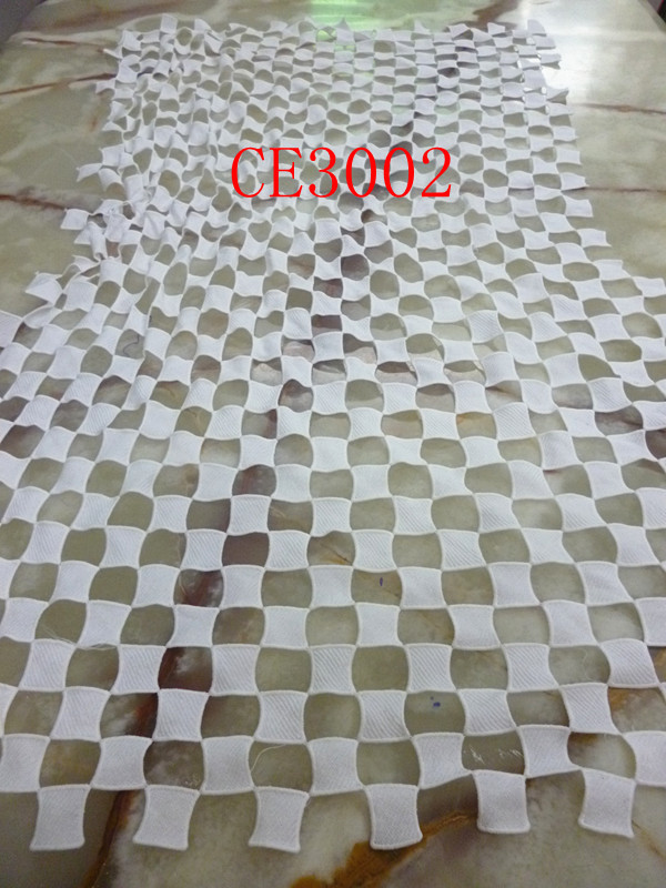 CE3002
