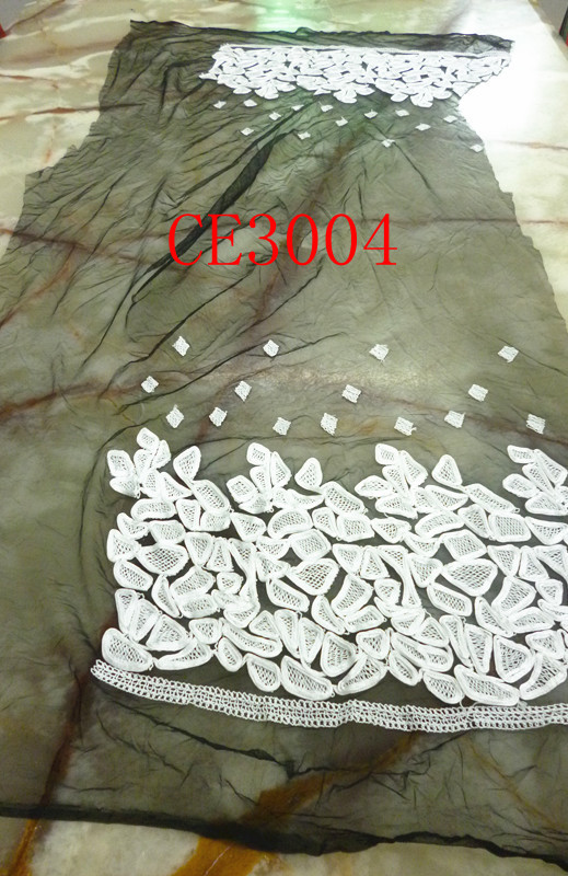 CE3004