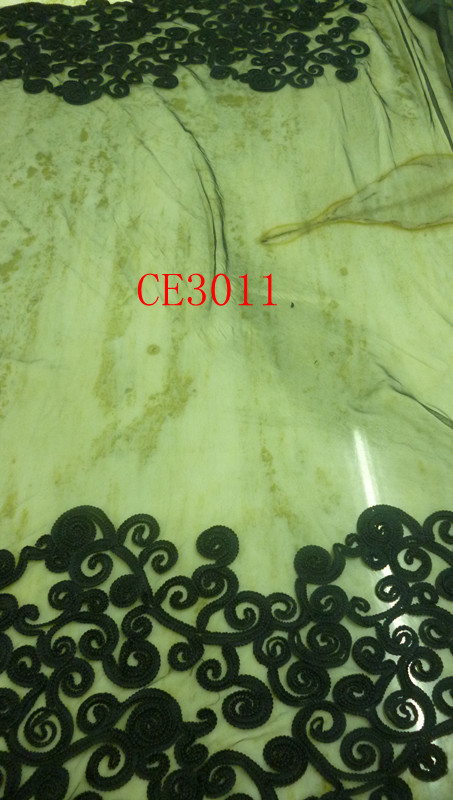 CE3011