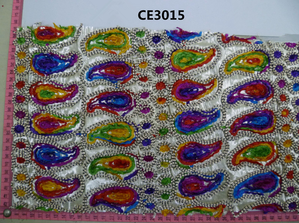 CE3015