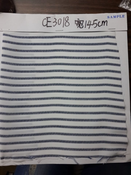 CE3018