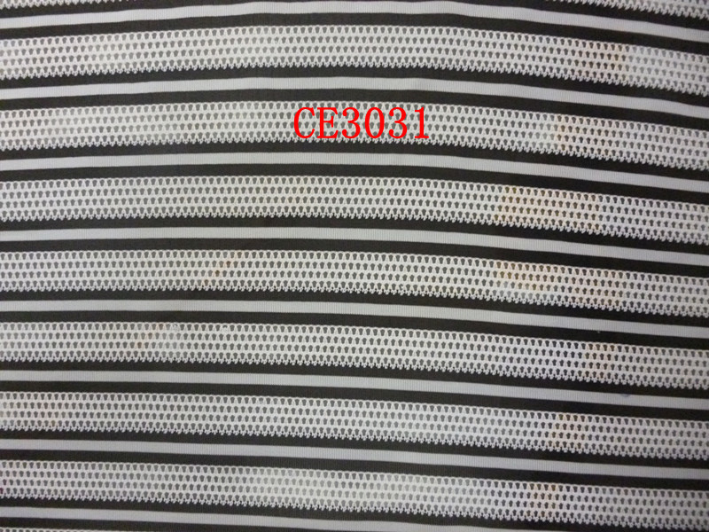 CE3031