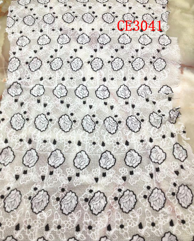 CE3041