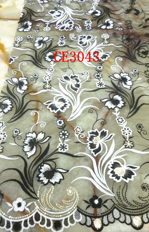 CE3043
