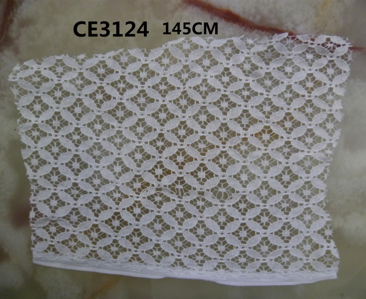 CE3124