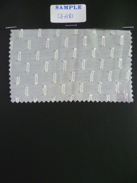 CE3181