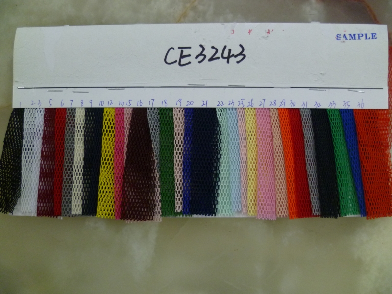 CE3243